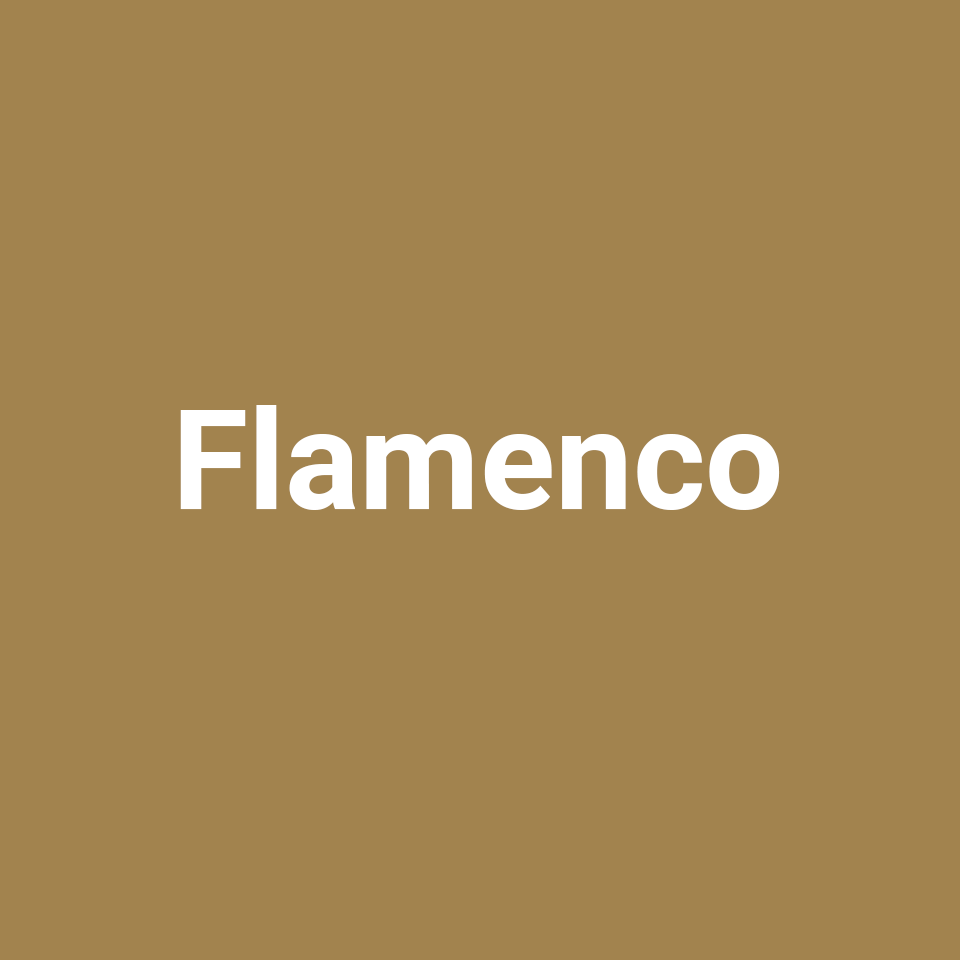 Flamenco Gitaren